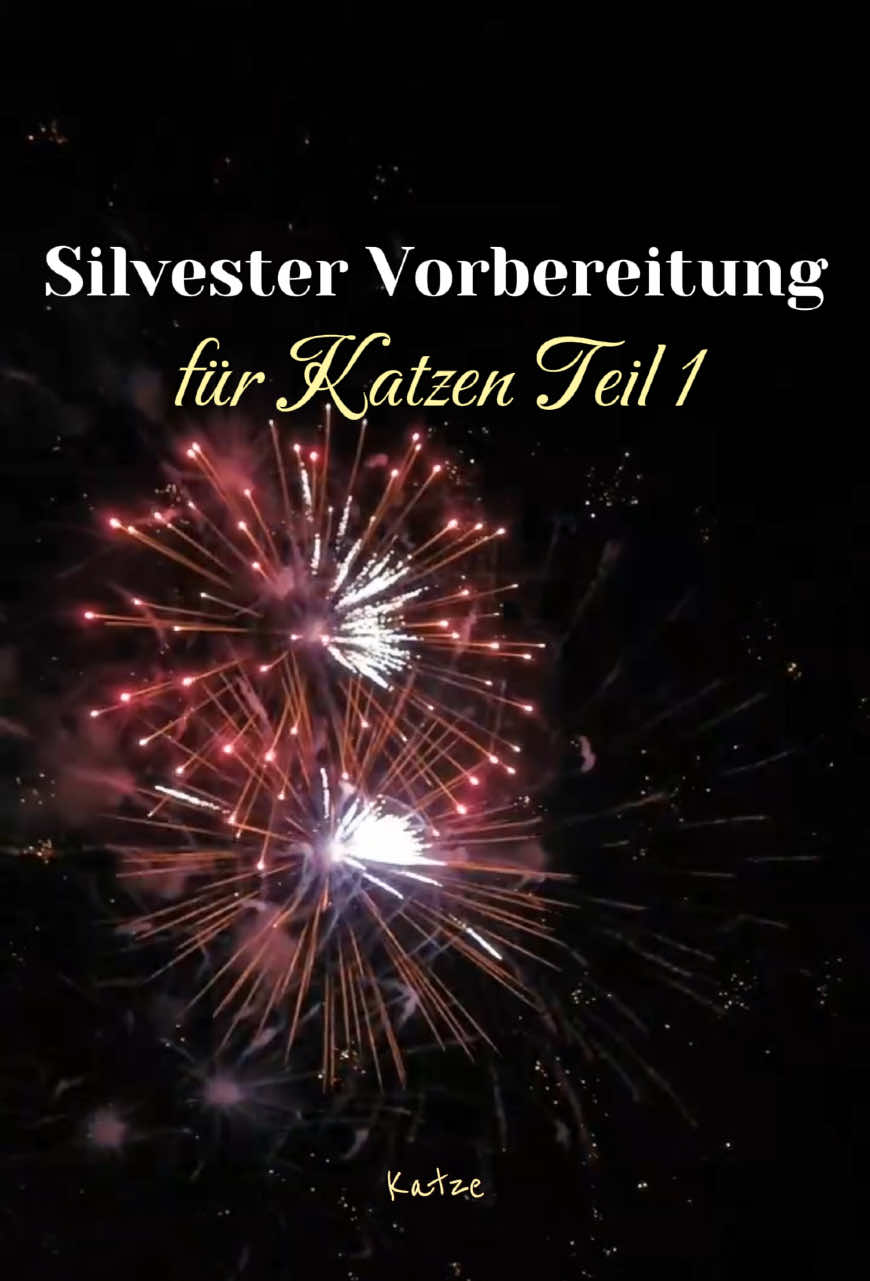 @Nala & Simba | Catcontent