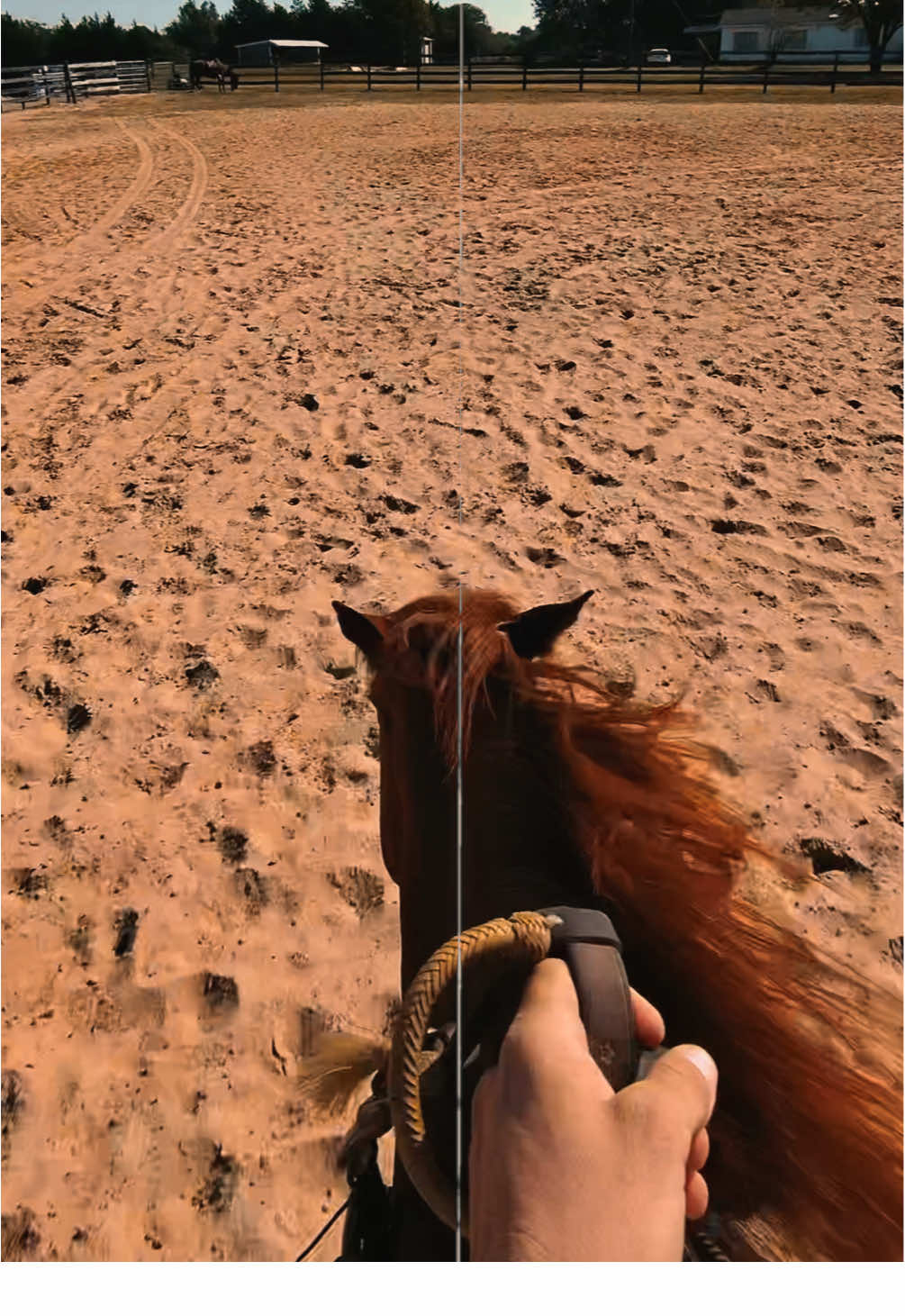 @HD Performance Horses