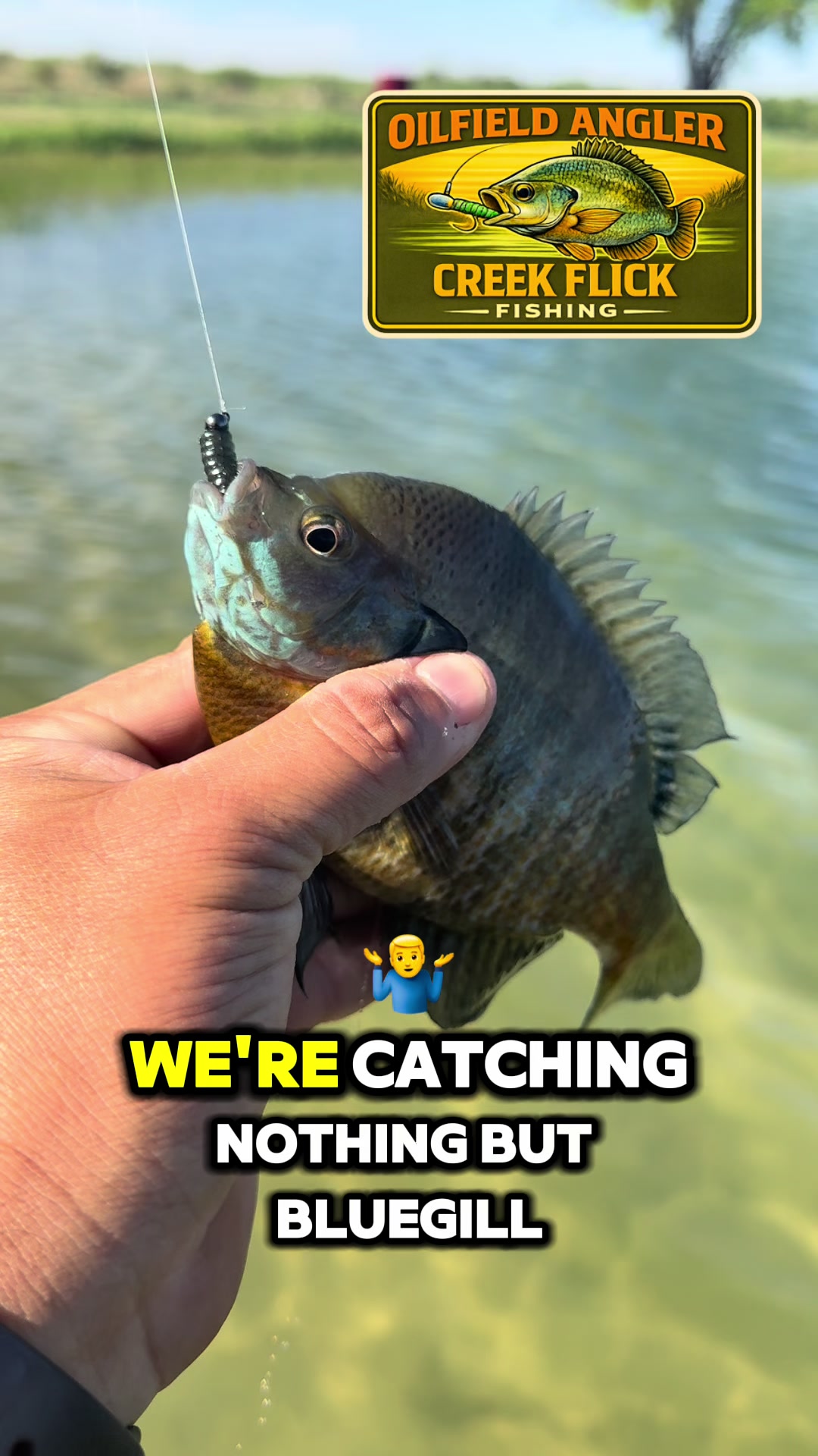 @Oilfield Angler Fishing