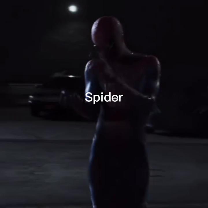 @Spider