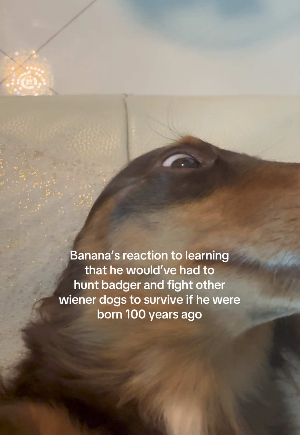 @bananaislong