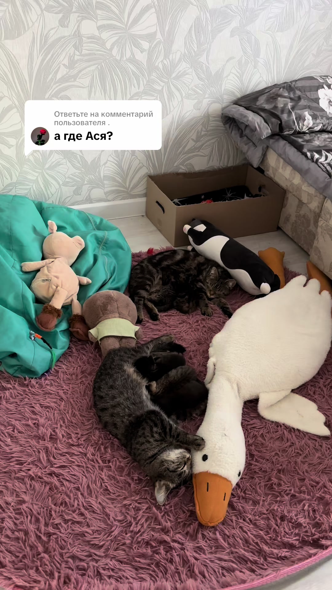 @🐯ТИГРИЦА 🐯