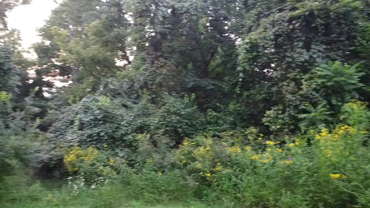 @Dodger331