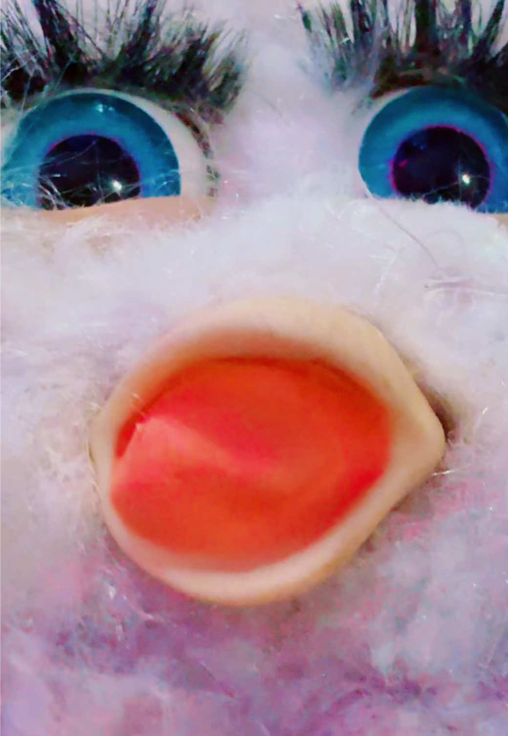@Furbaliciousfurbz
