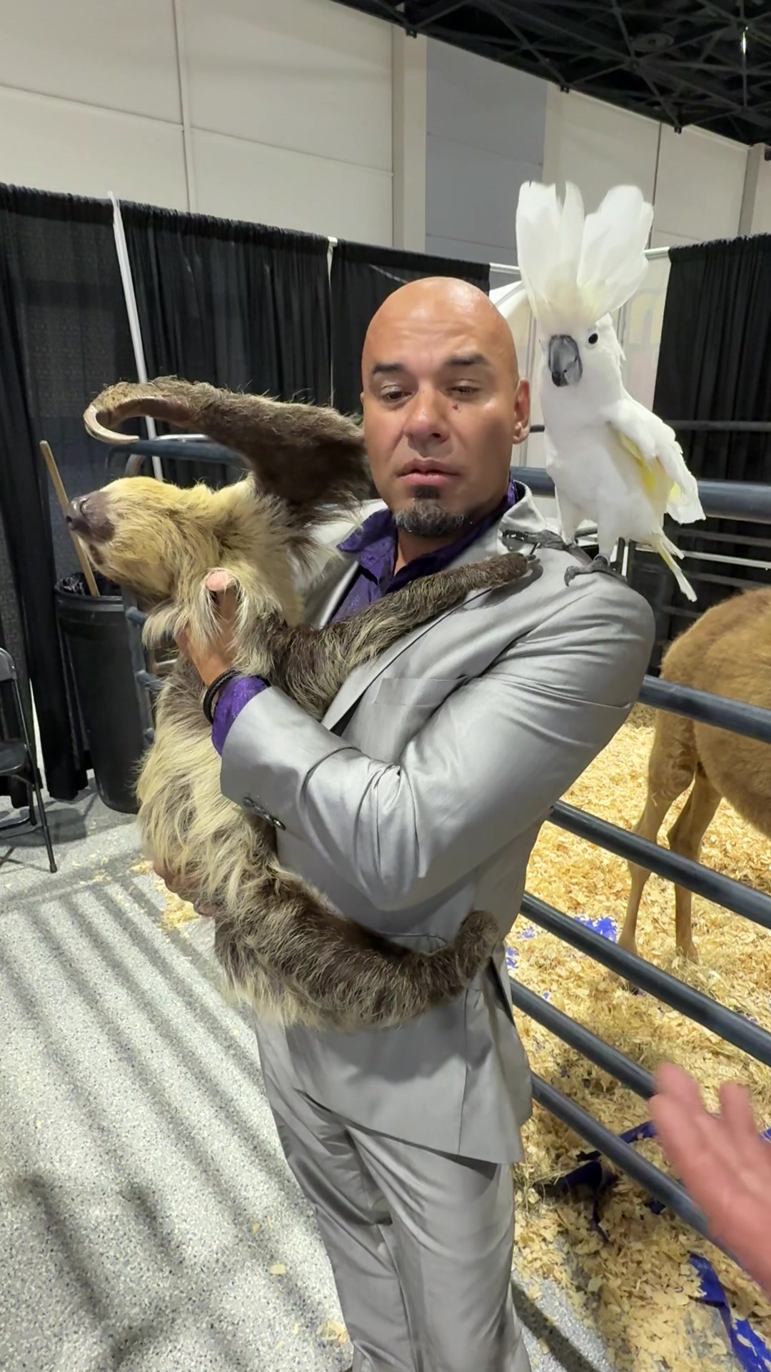 @Luis Moncada