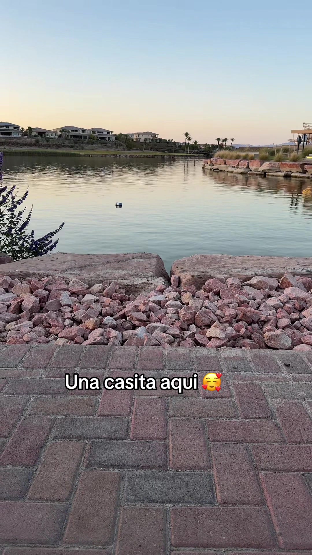 @Raulito  Aguilar