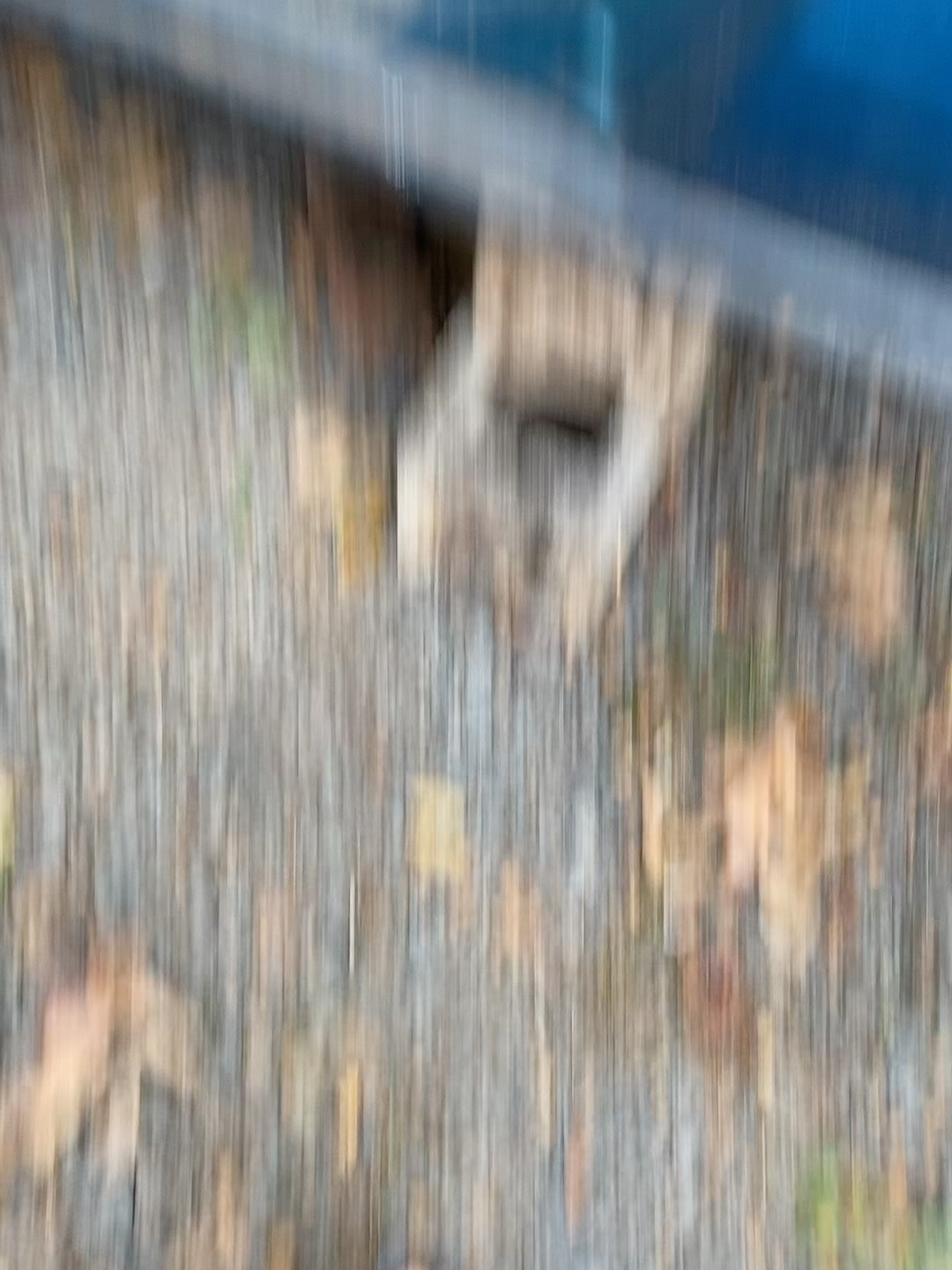 @C7 Shaun