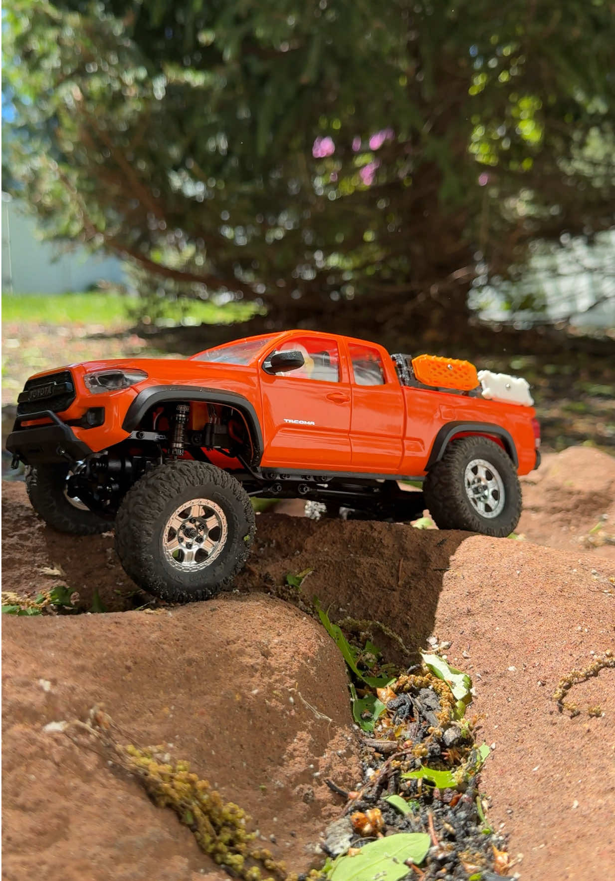 @CapeCrawlers
