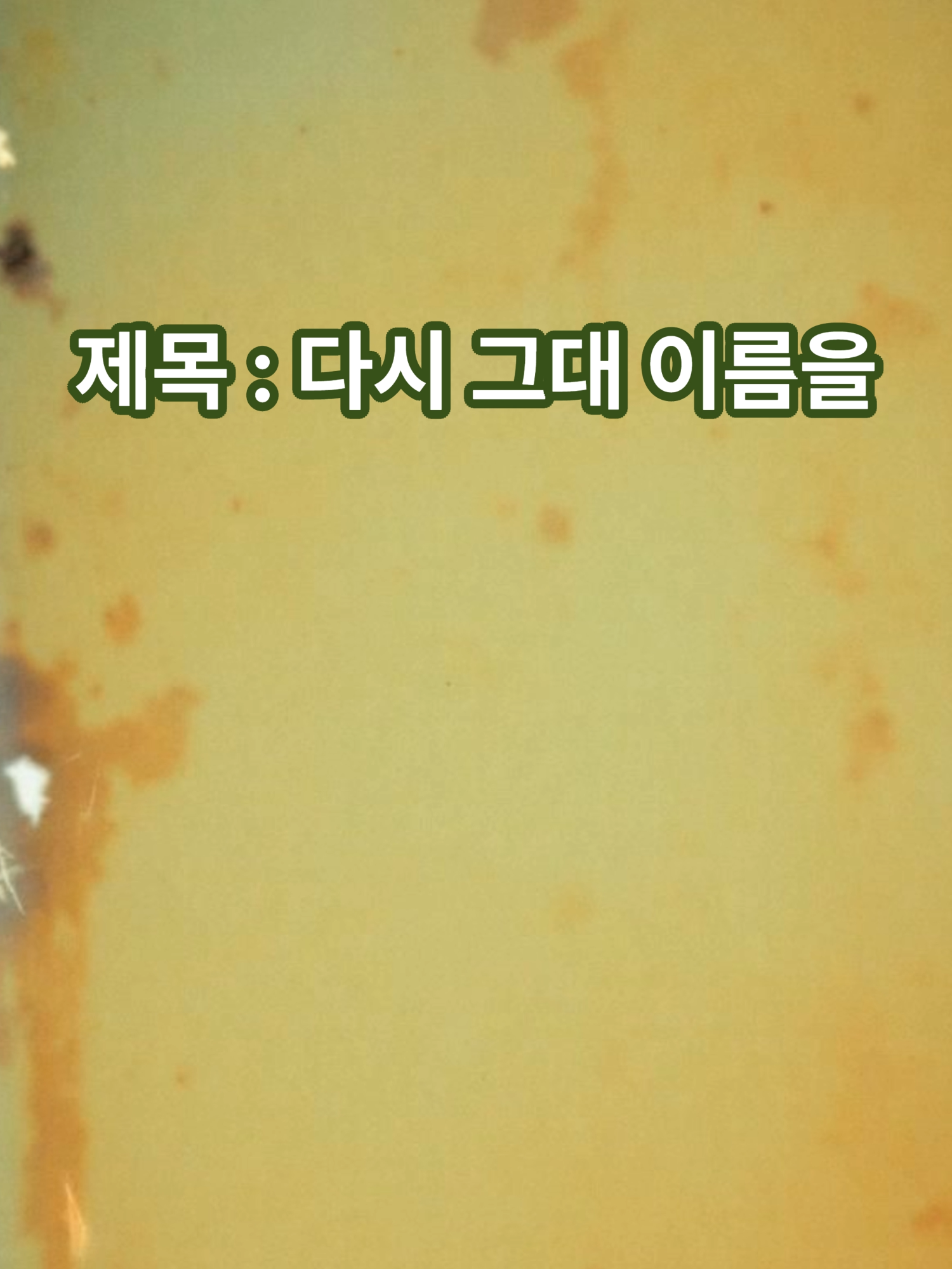 @황금박쥐