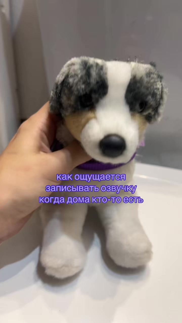 @♯🐾.ᴍᴇʏsʜɪ✧˚