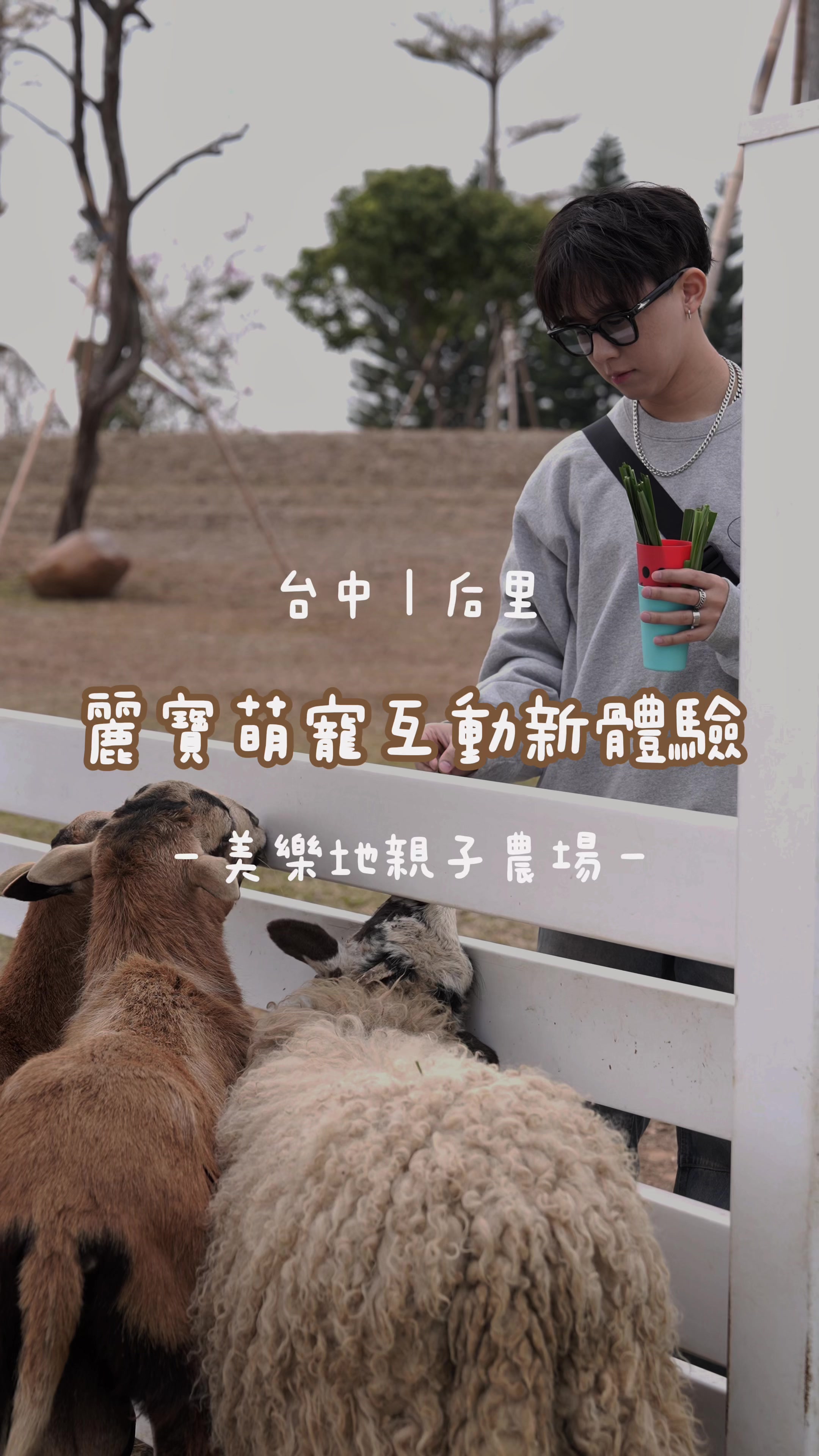 @美食Roy不絕