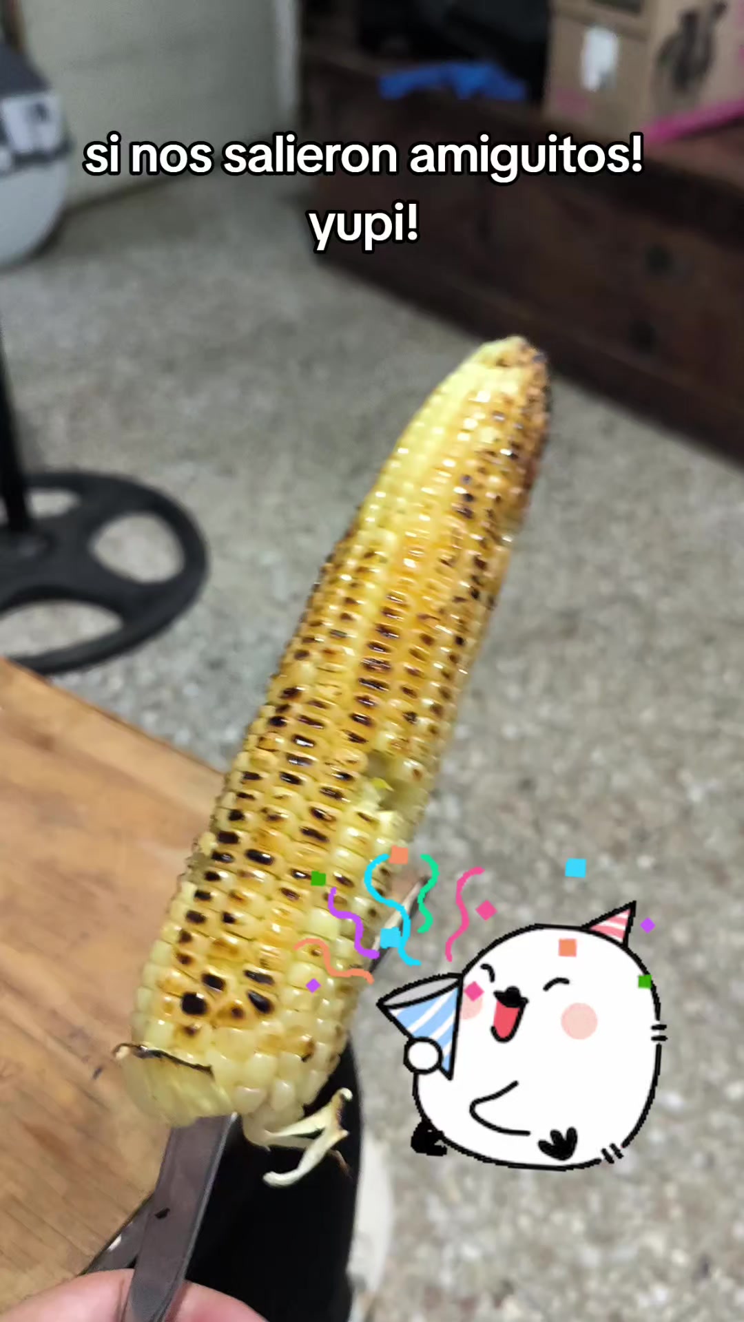 @user9431455058879