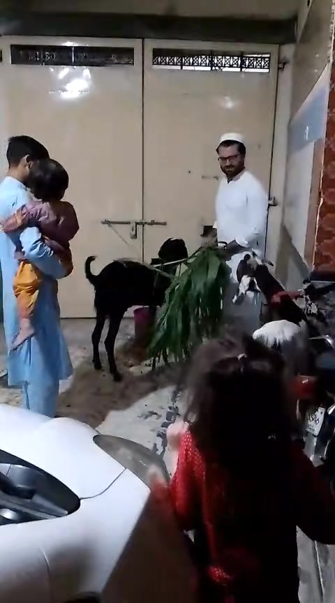 @Muhammad Aamir Latif