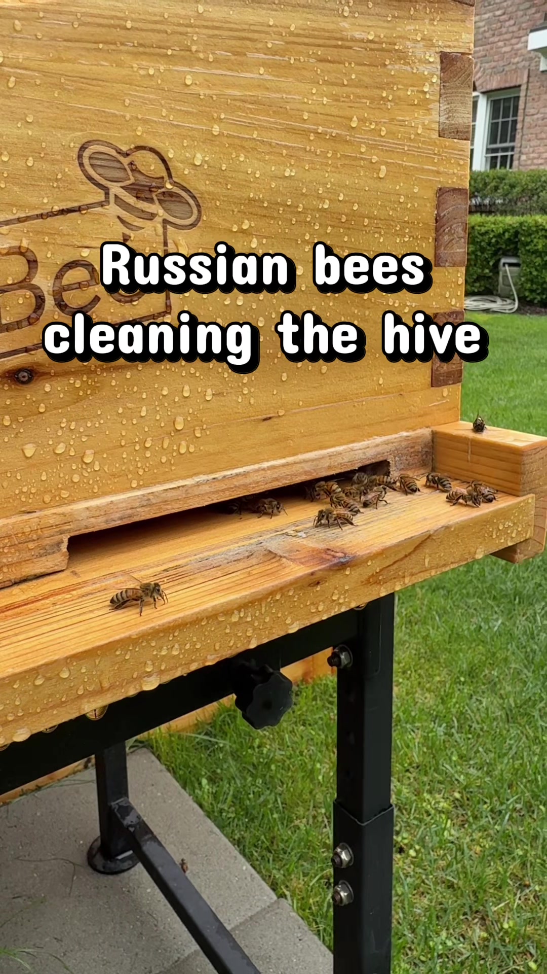 @homewithlogan