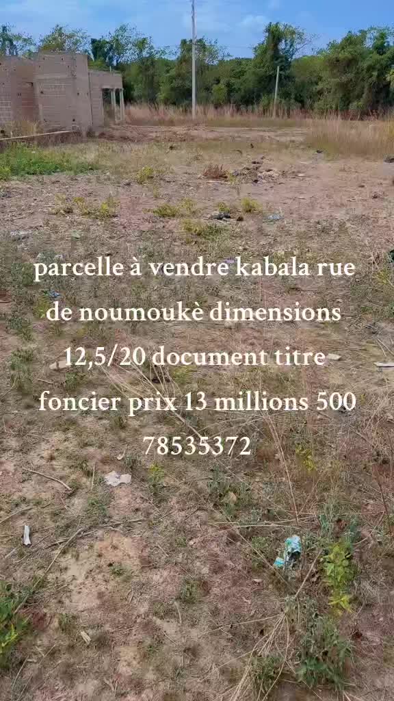 @kaniagaservice