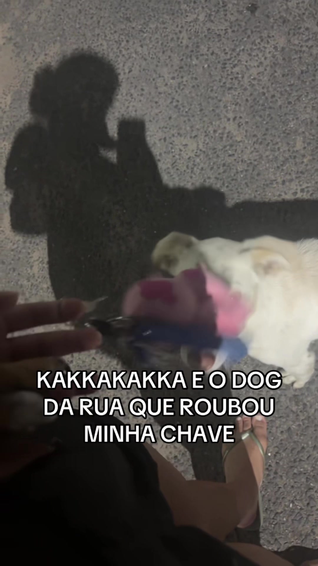 @Bia Monteiro