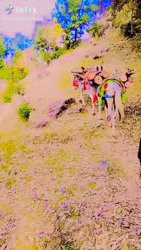 @hshdhe