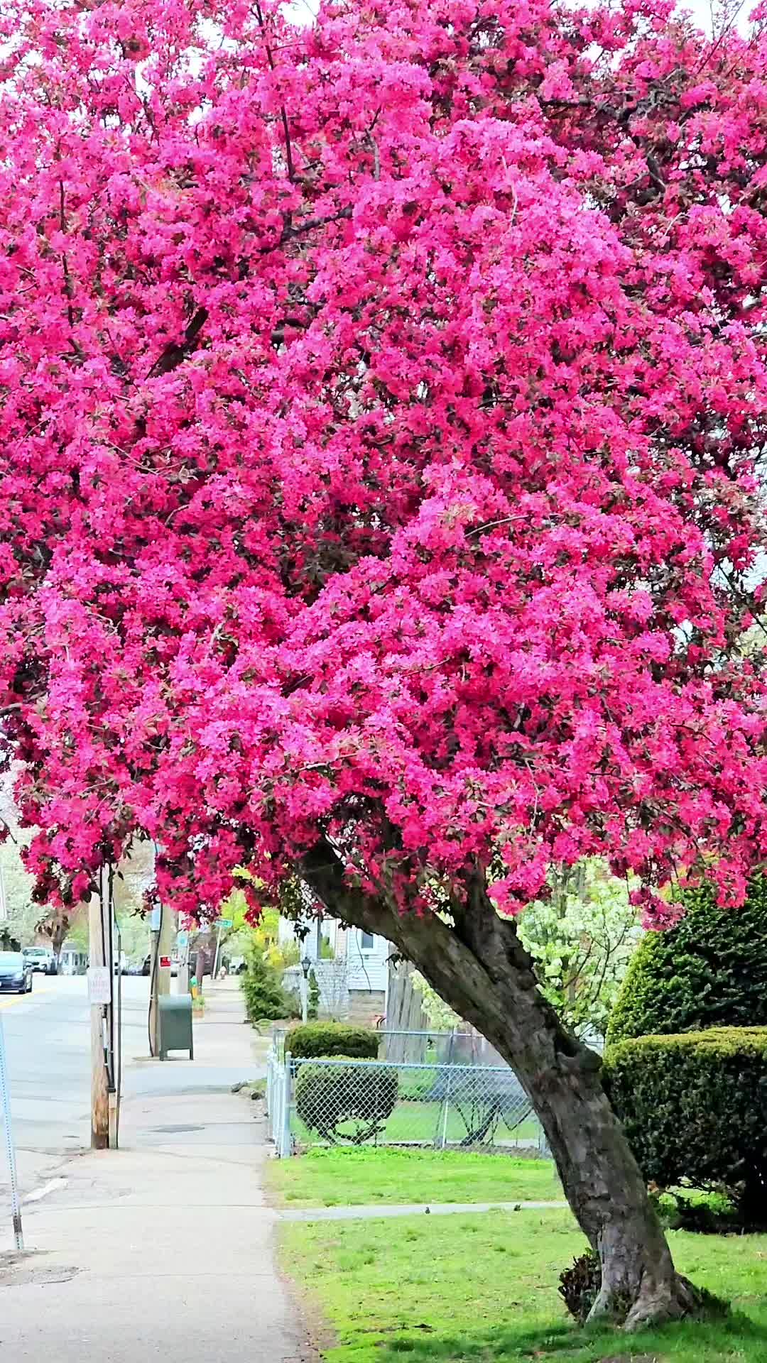 @Meeraphotos
