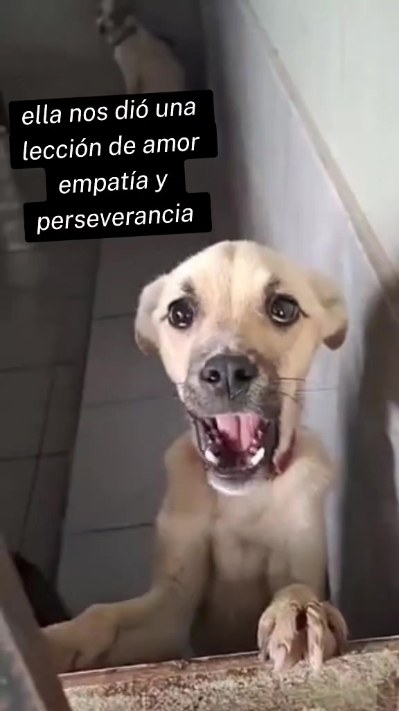 @Gloria Arellano Ramirez