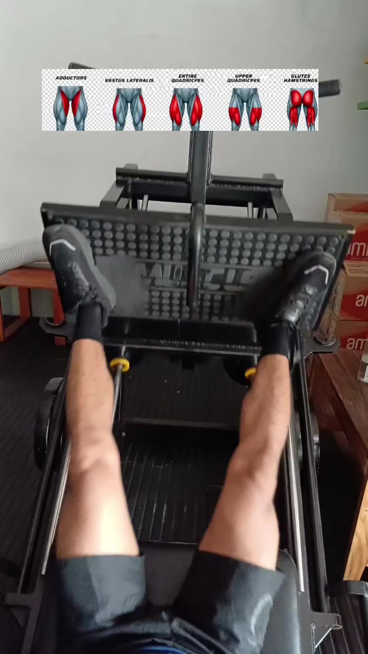 @DGYMZILLA