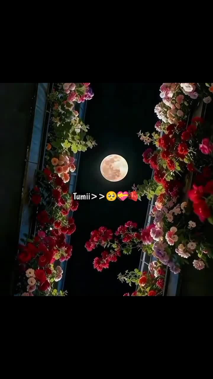 @একা_মানুষ _10.🇦🇷🥺