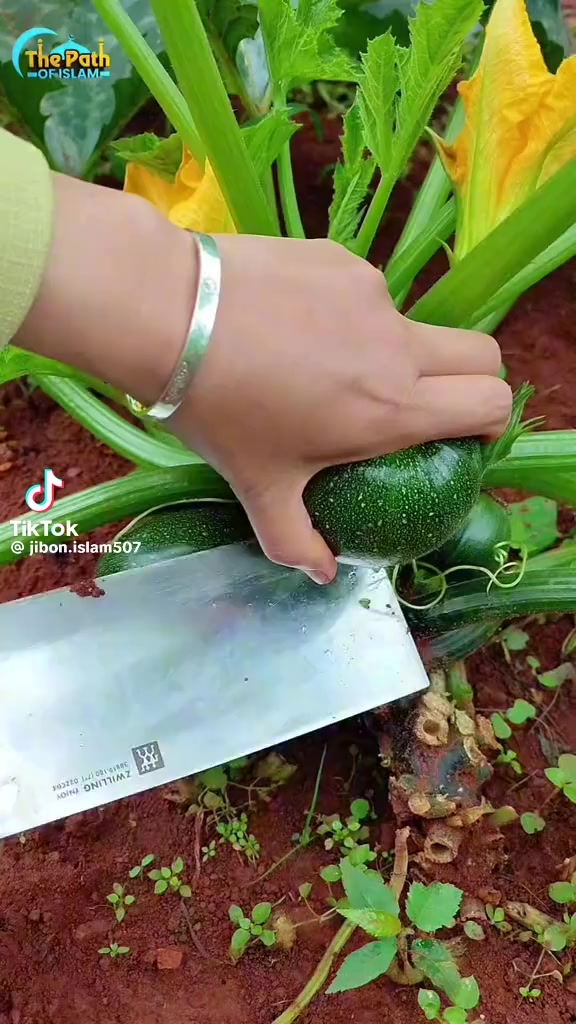 @নিঝুম তারা