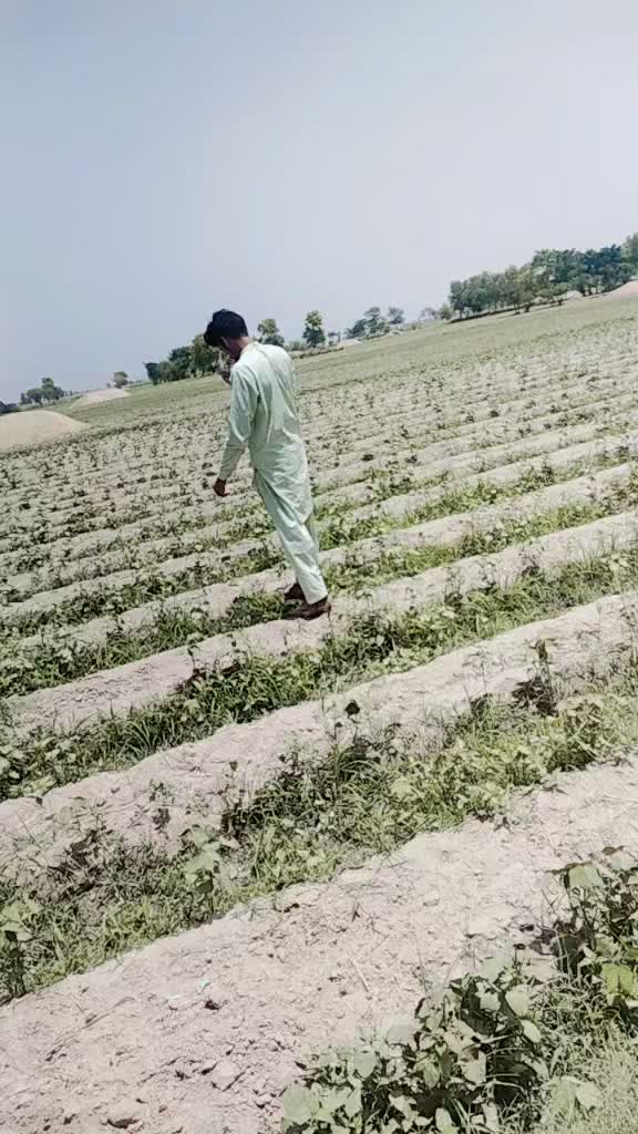 @AFZAALking