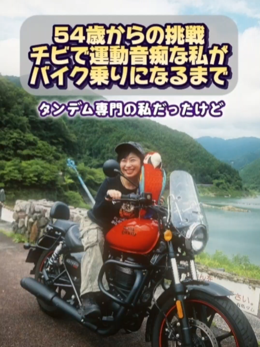 @SHINO|54歳からのバイクVlog🏍️