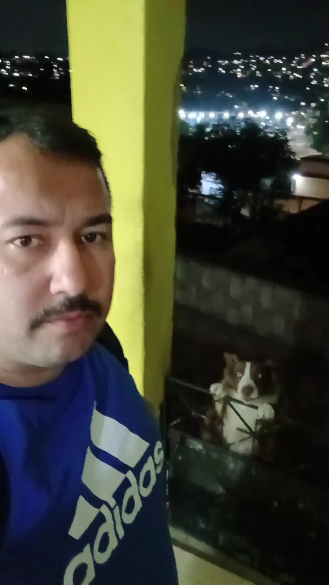 @brunobarbio