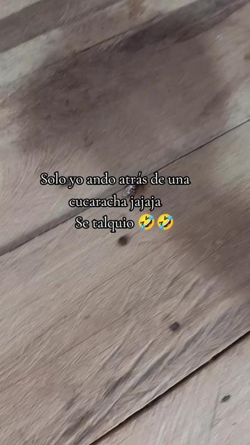@Zambrano 🖤