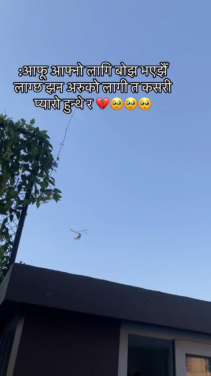 @🦋❣️아시스 올리❣️🦋