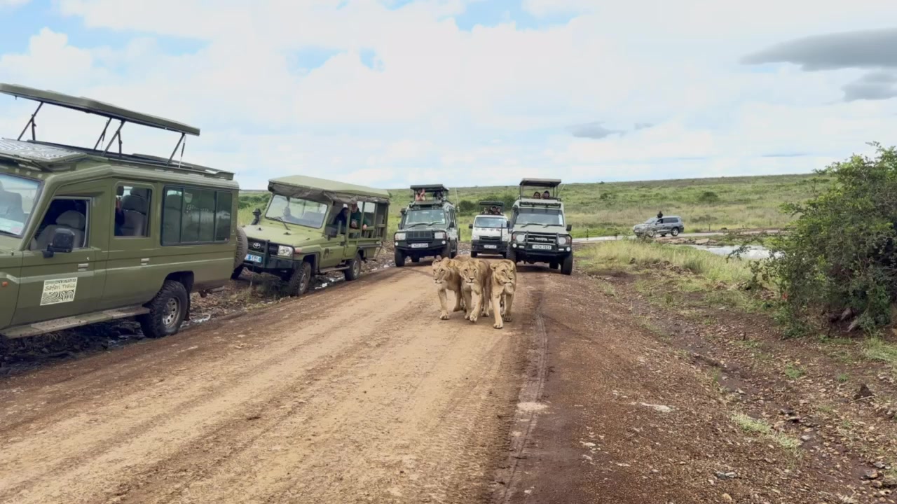@Solvo Tours and Safaris