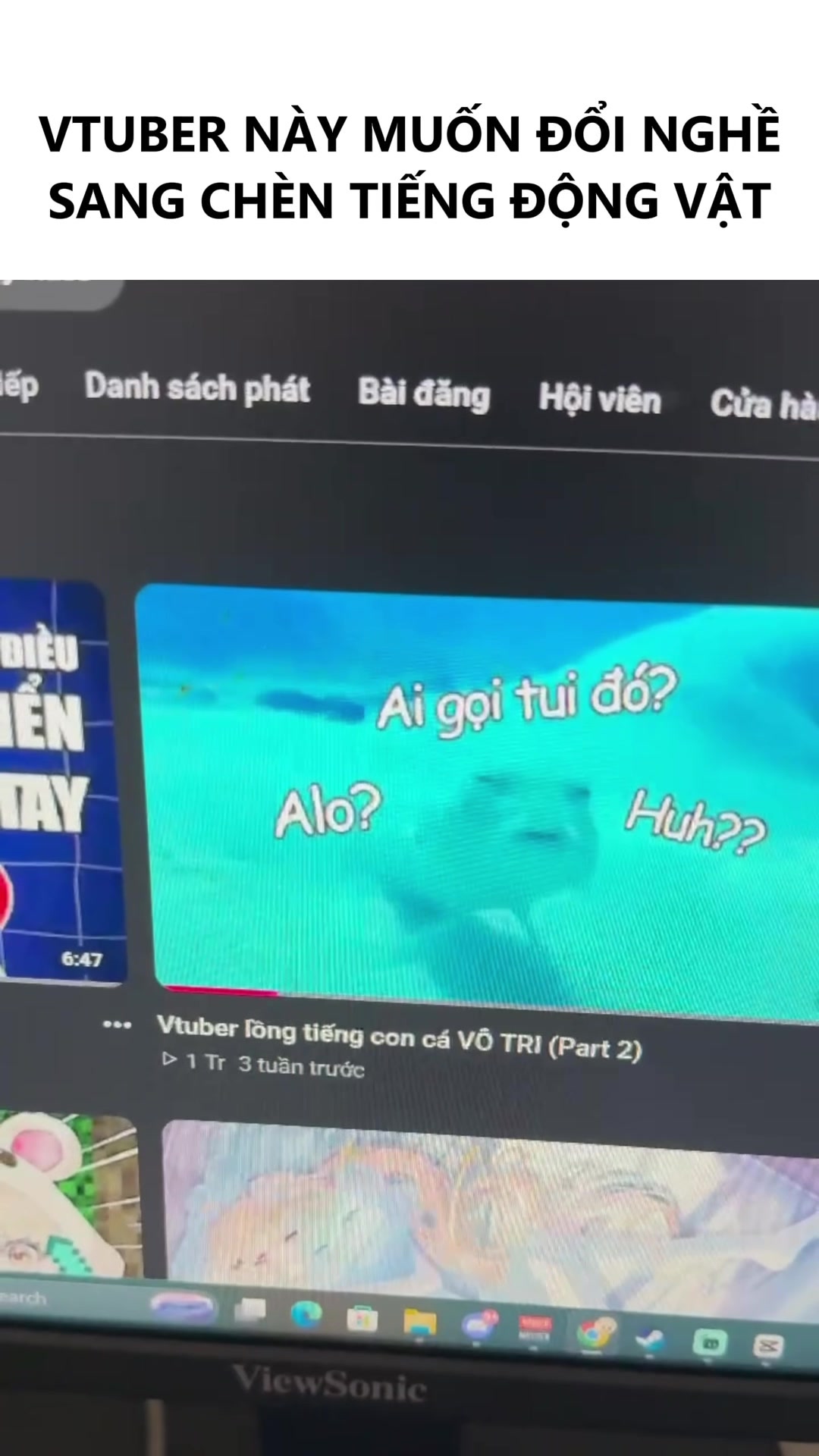 @Tani Kami 🐹