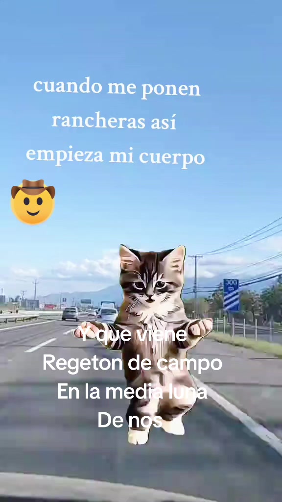 @𝓐𝓷𝓽𝓸𝓷𝓲𝓮𝓽𝓪❤️❤️