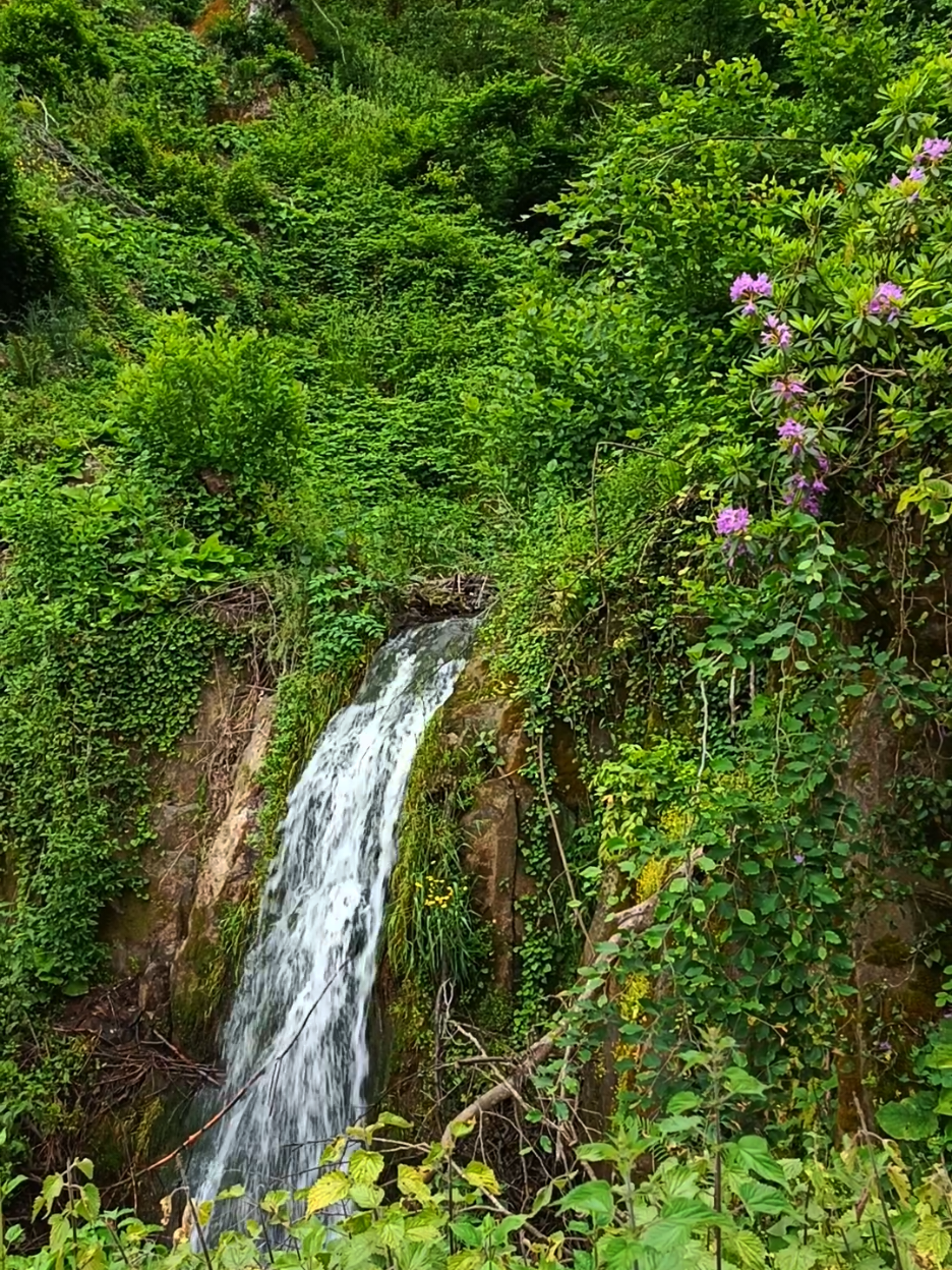 @Zoğa