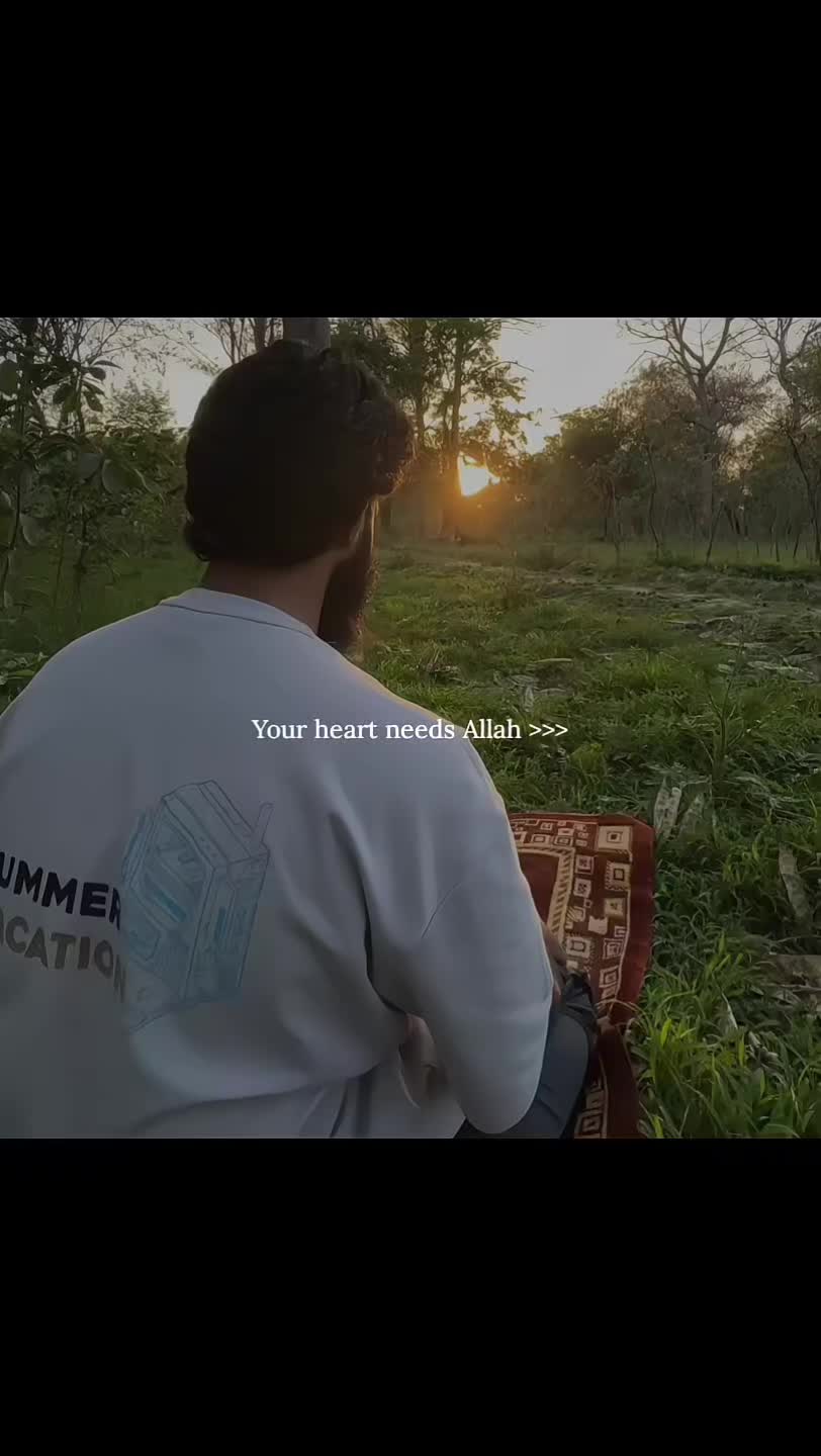 @Halal Mohsin