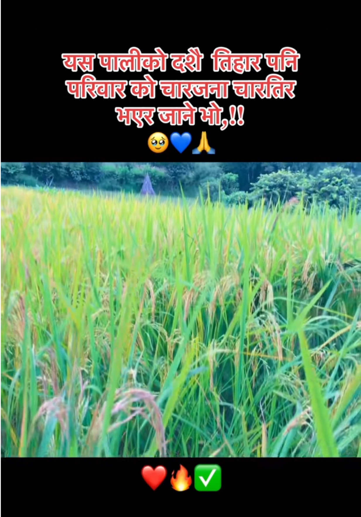 @Khum_Pokhrel (KINGS_MAN)👑