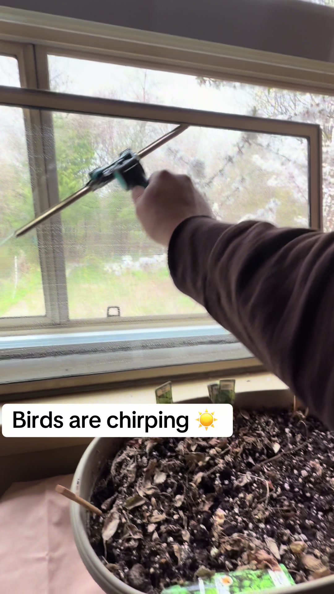 @Flawlesswindows