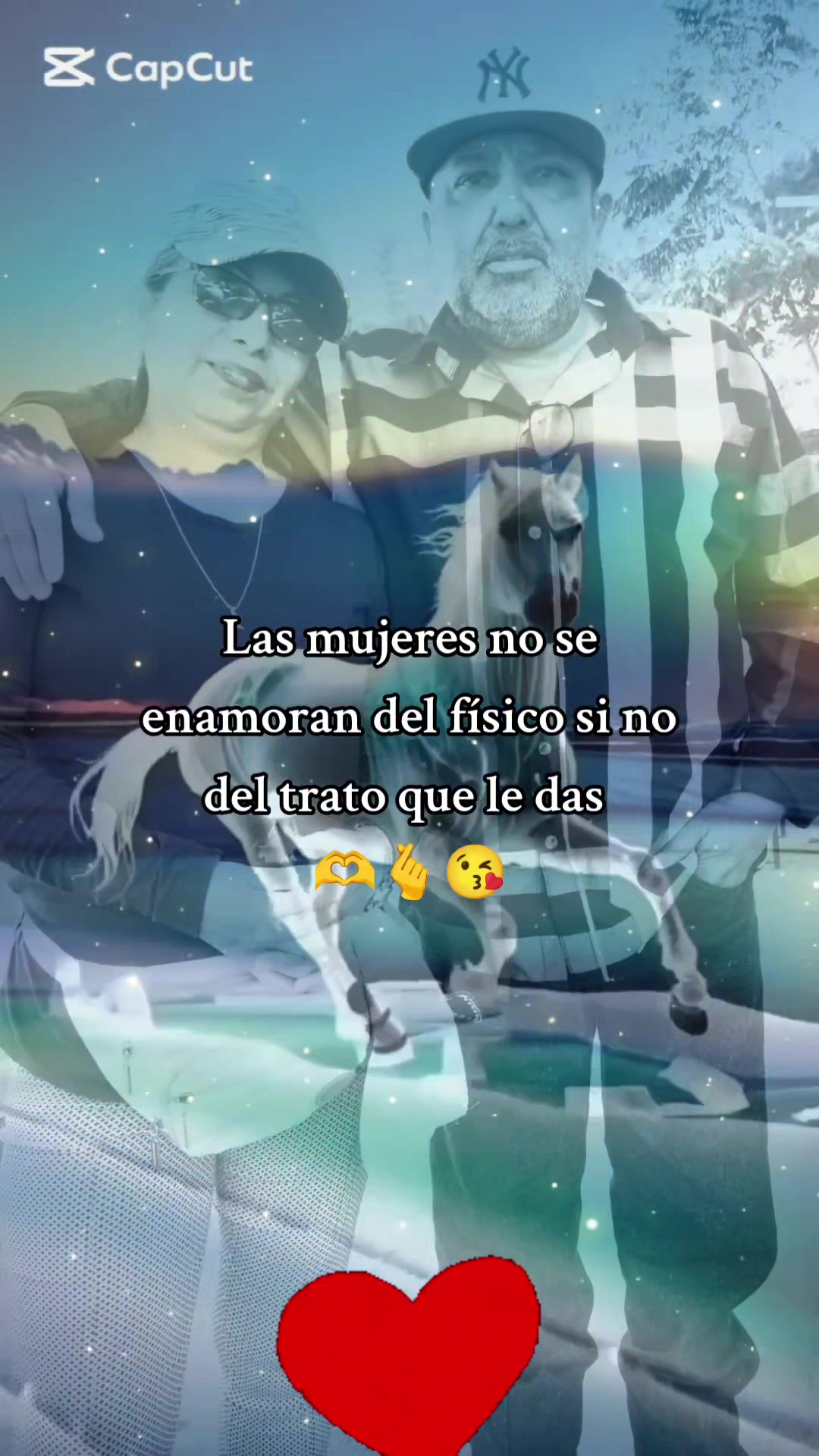 @Dalia Vicente Hern&aacute;ndez