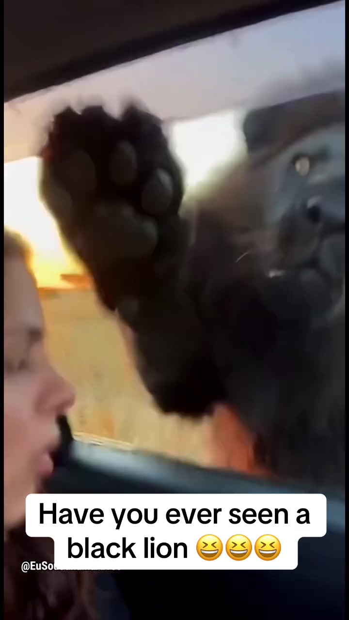 @toptiktokvillain