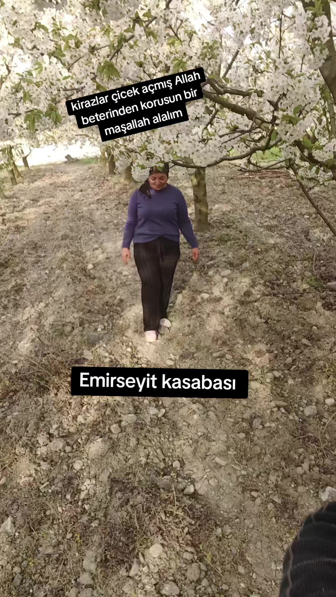 @Ebruli 6060