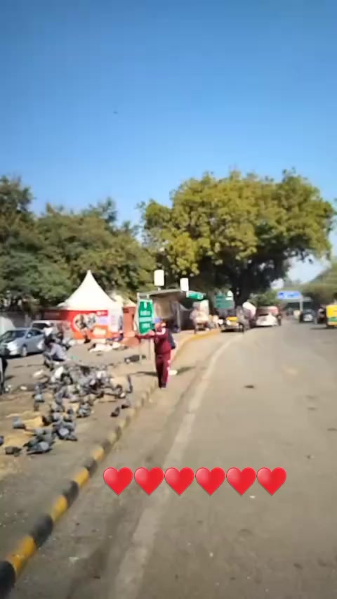 @tank bhandari