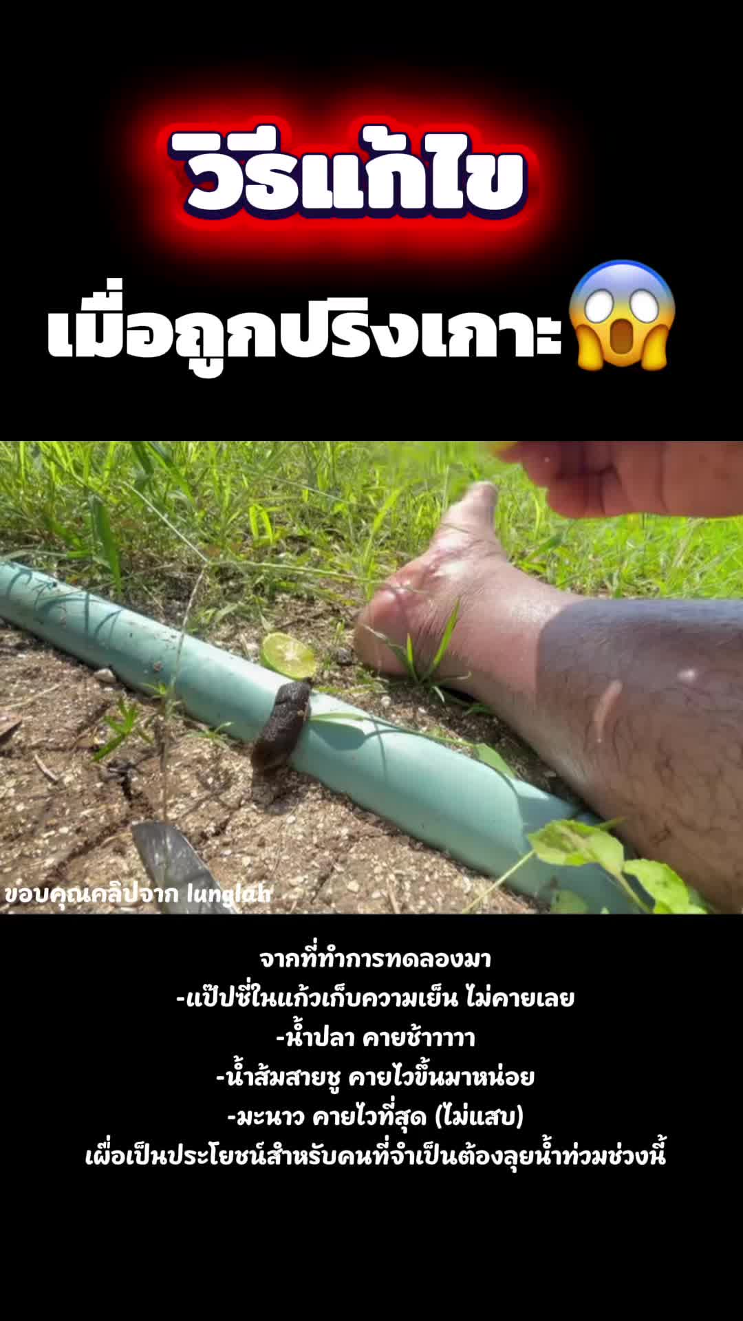 @Nutthanicha😘💕