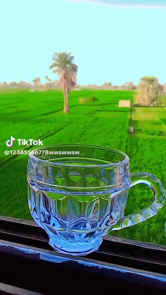 @شهاب الدين