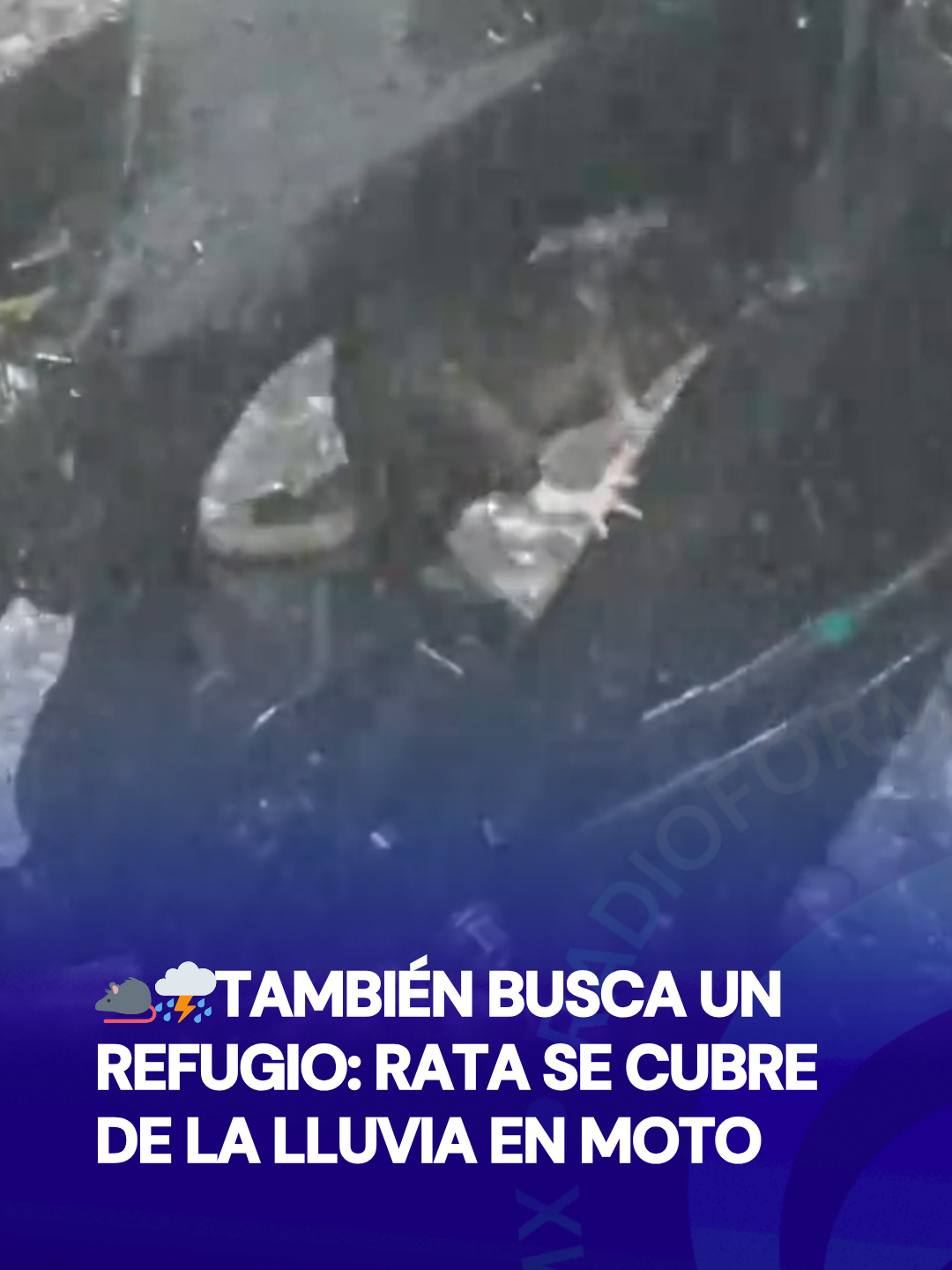 @Radio F&oacute;rmula