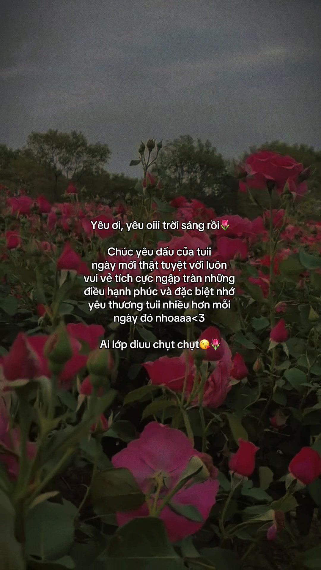 @ᥫᩣѕυy мộт cнúт౨ৎ