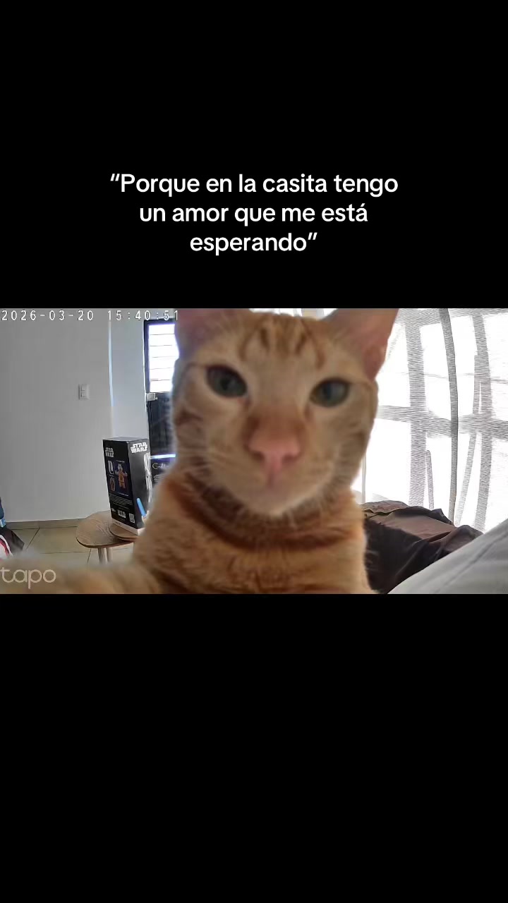 @Alea Mungu&iacute;a