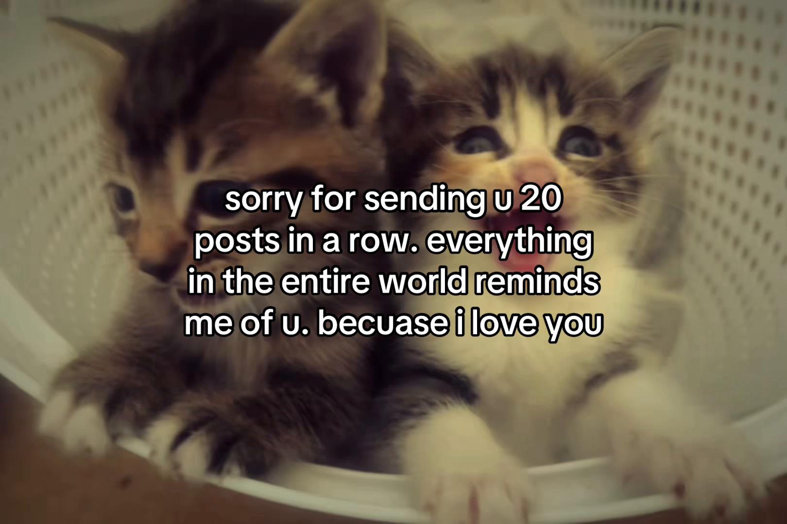 @sxalenz