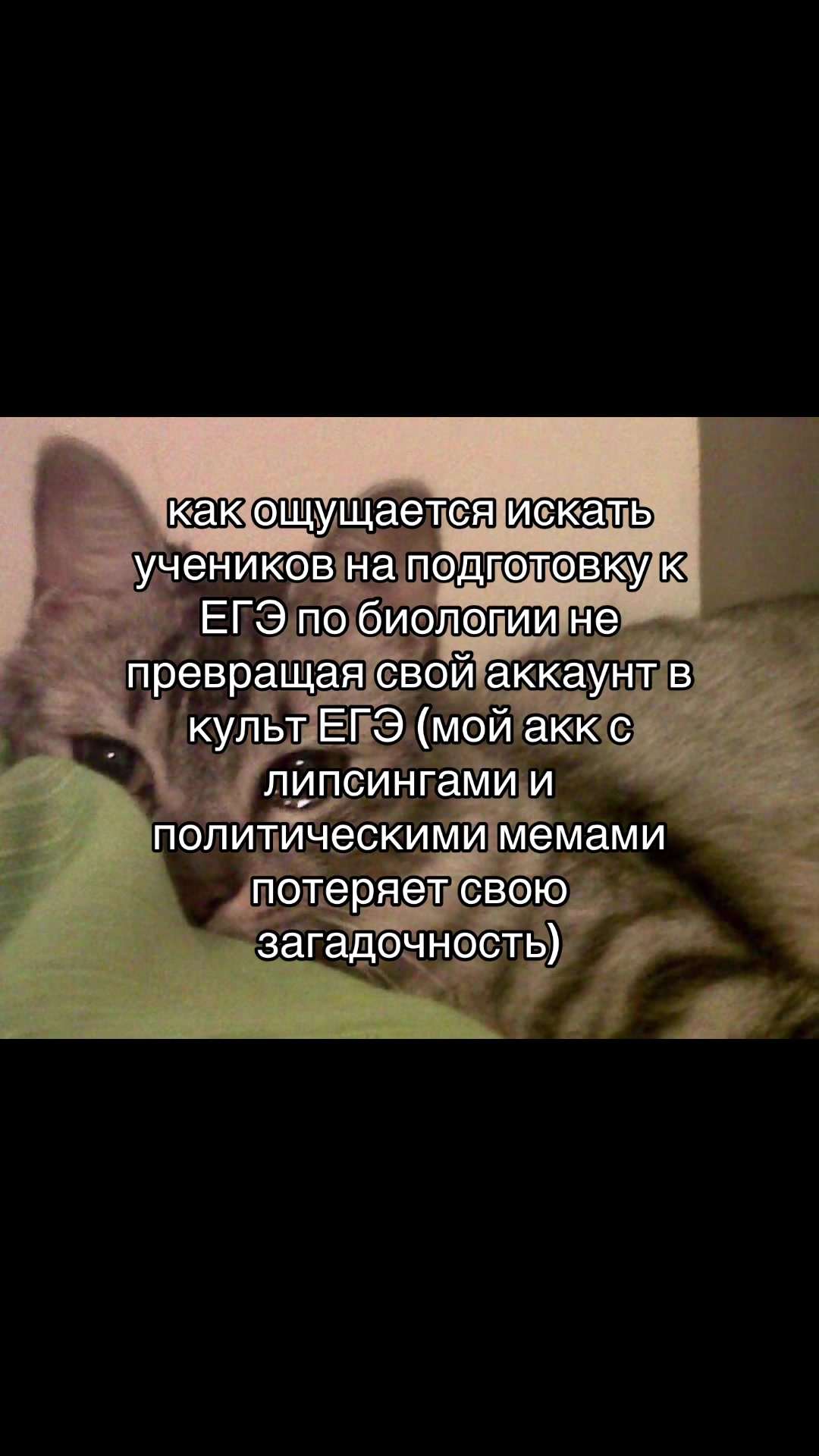 @тгк: сдвг и ерунда