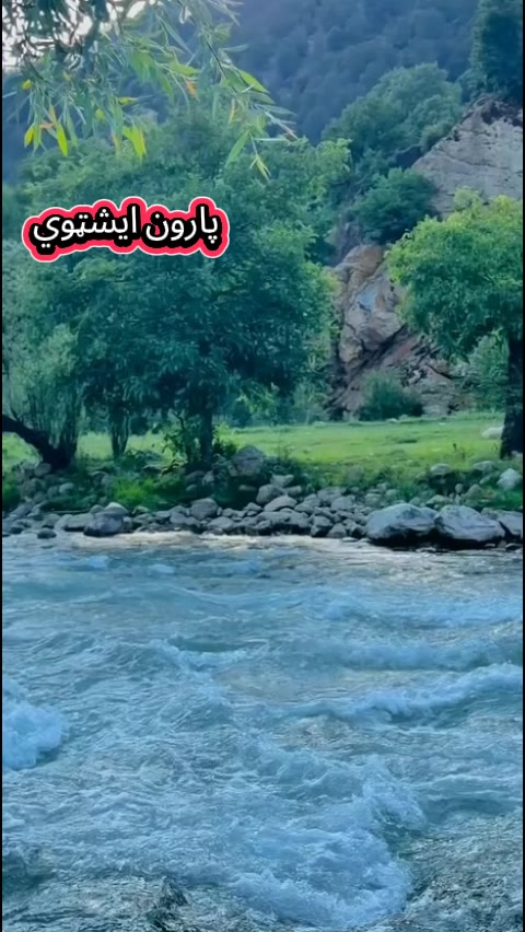 @🦅Yasar.gujjar⛎